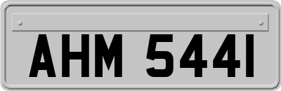 AHM5441