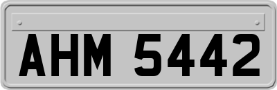 AHM5442