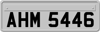 AHM5446