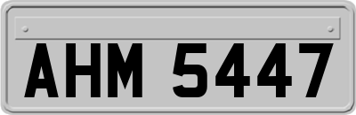 AHM5447