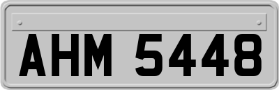 AHM5448