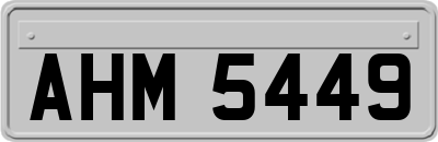 AHM5449