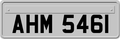 AHM5461