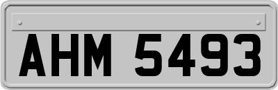 AHM5493