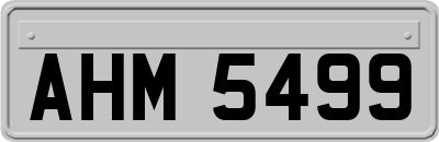 AHM5499