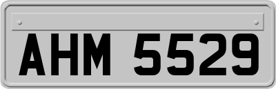 AHM5529