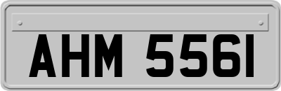 AHM5561