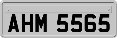 AHM5565