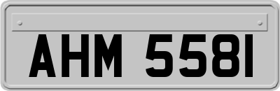 AHM5581