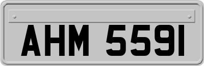 AHM5591