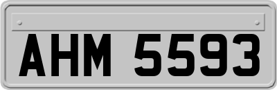 AHM5593