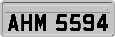 AHM5594