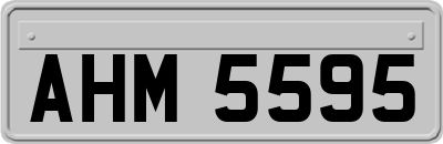 AHM5595
