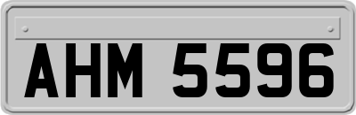AHM5596
