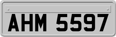 AHM5597