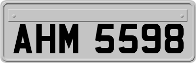 AHM5598