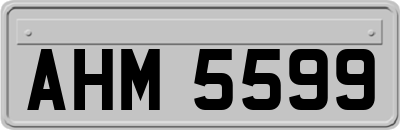 AHM5599