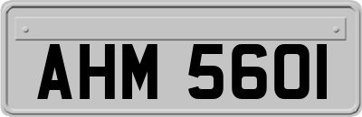 AHM5601