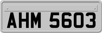 AHM5603