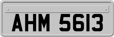 AHM5613