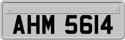 AHM5614