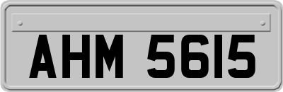 AHM5615