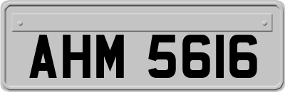 AHM5616
