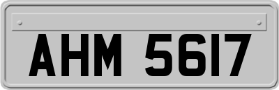 AHM5617