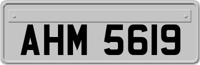 AHM5619