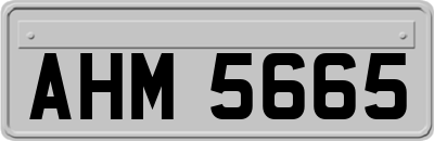 AHM5665