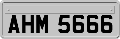 AHM5666