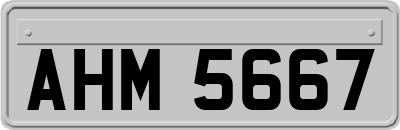 AHM5667