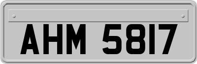 AHM5817