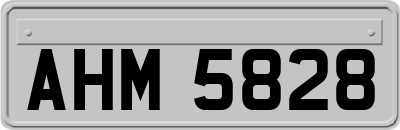 AHM5828