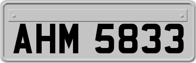 AHM5833