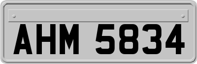 AHM5834