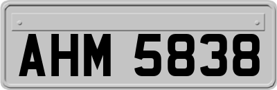 AHM5838