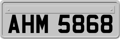 AHM5868