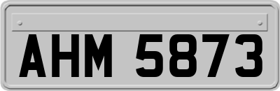 AHM5873
