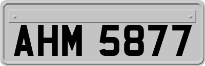 AHM5877
