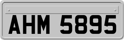 AHM5895