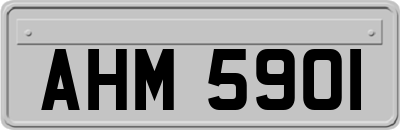AHM5901