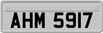 AHM5917