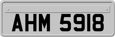 AHM5918