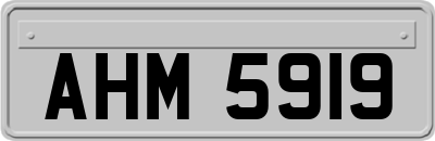 AHM5919