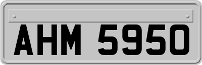 AHM5950