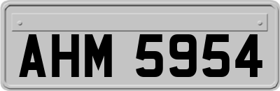 AHM5954