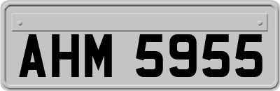 AHM5955