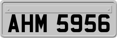 AHM5956