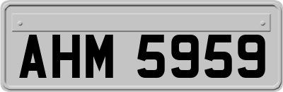 AHM5959